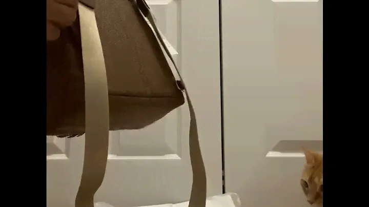 Michael Kors Slater Extra-Small Logo Convertible Backpack in LUGGAGE color Unboxing