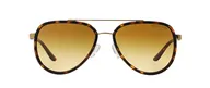 Солнцезащитные очки Michael Kors MK 5006 1034/2L