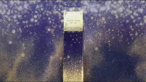 Midnight shimmer Michael Kors