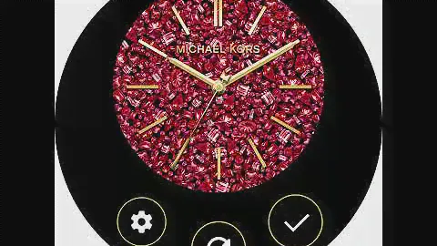 Michael Kors Access